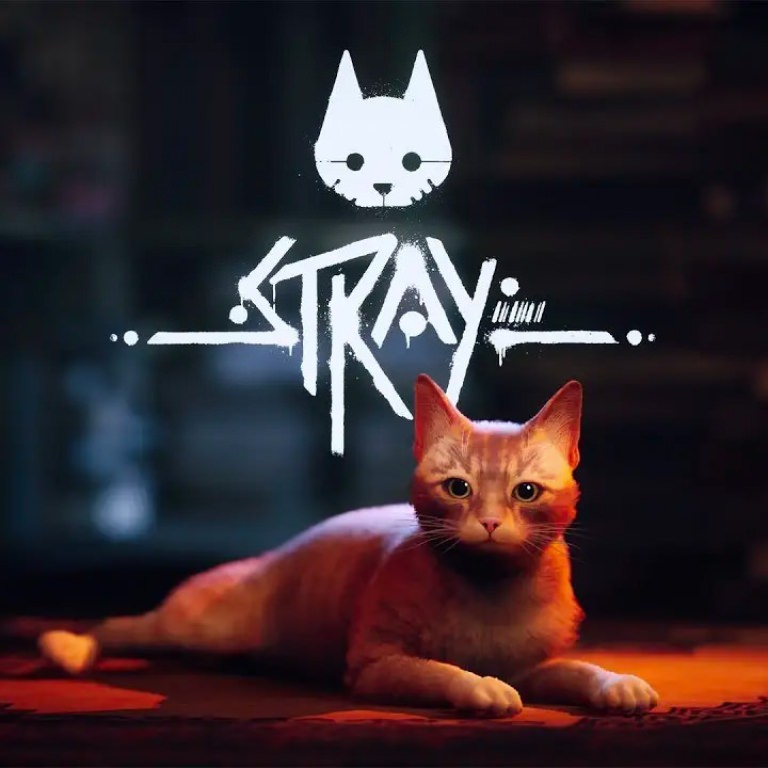 Stray 