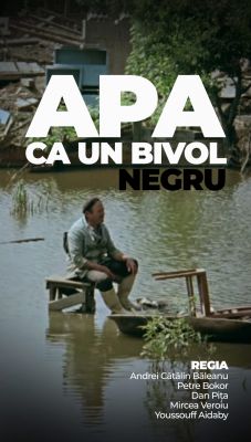 Apa ca un bivol negru // Water Like A Black Buffallo (1970)